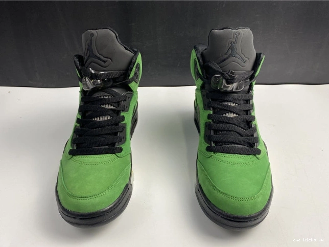 Rep SE Oregon 5 CK6631-307 Air Jordan Ducks 0818